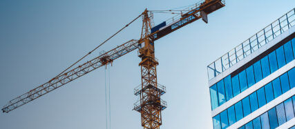Crane